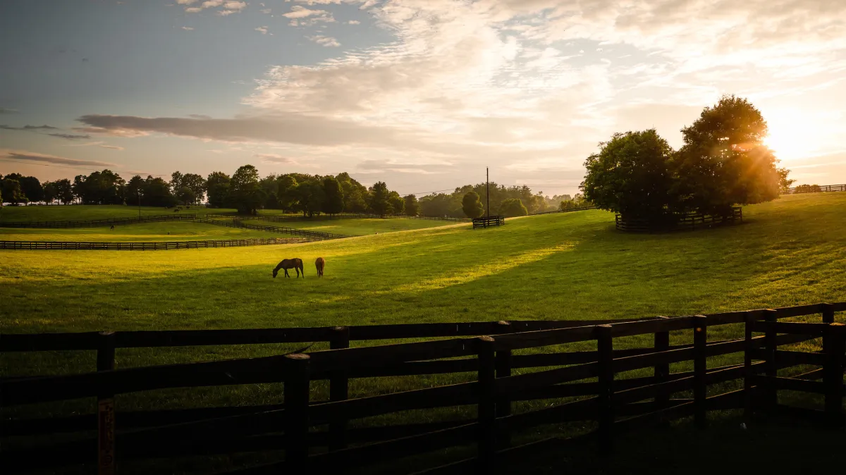 Lexington, Kentucky